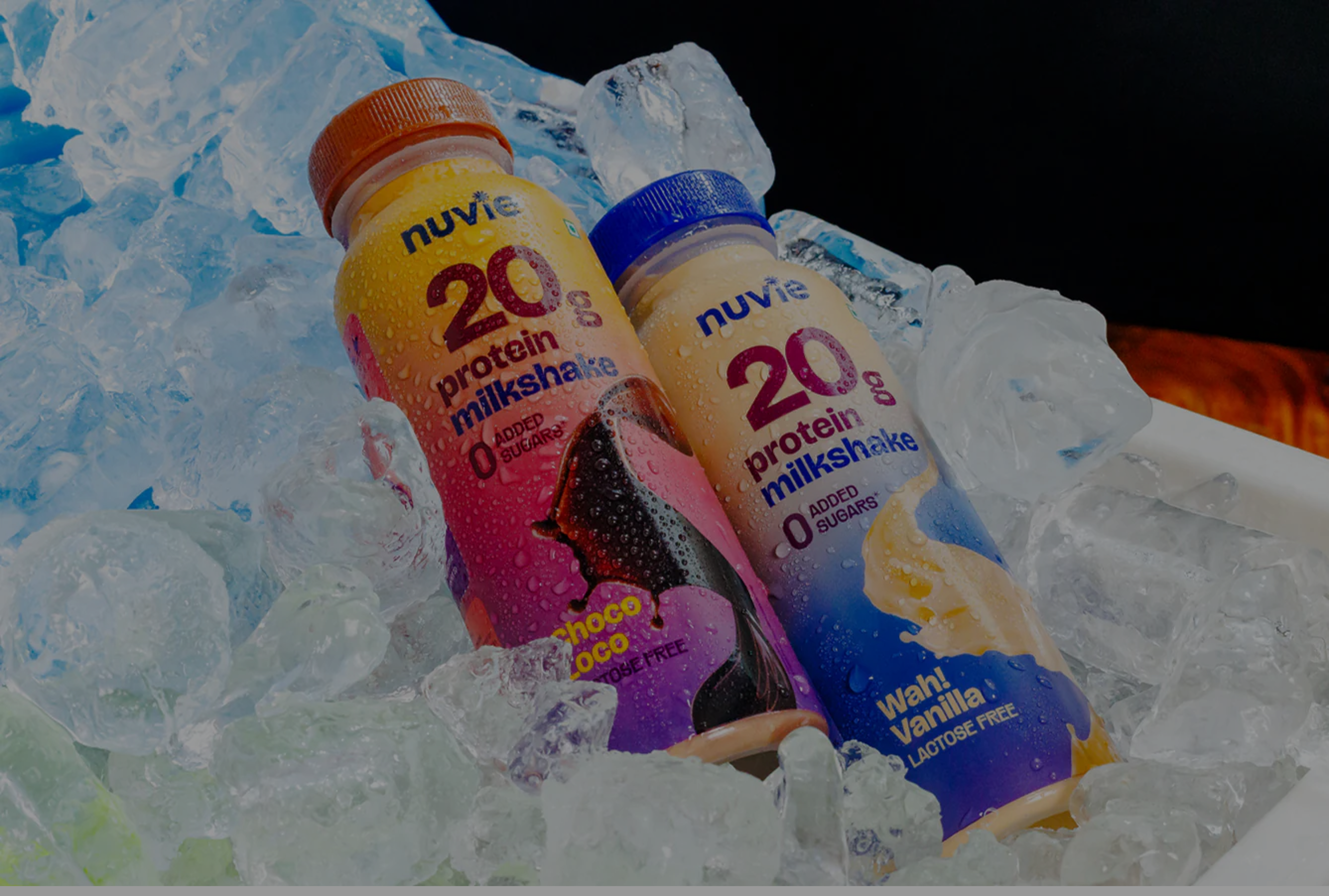 20g Protein Shake - 2 Flavors Variety Pack