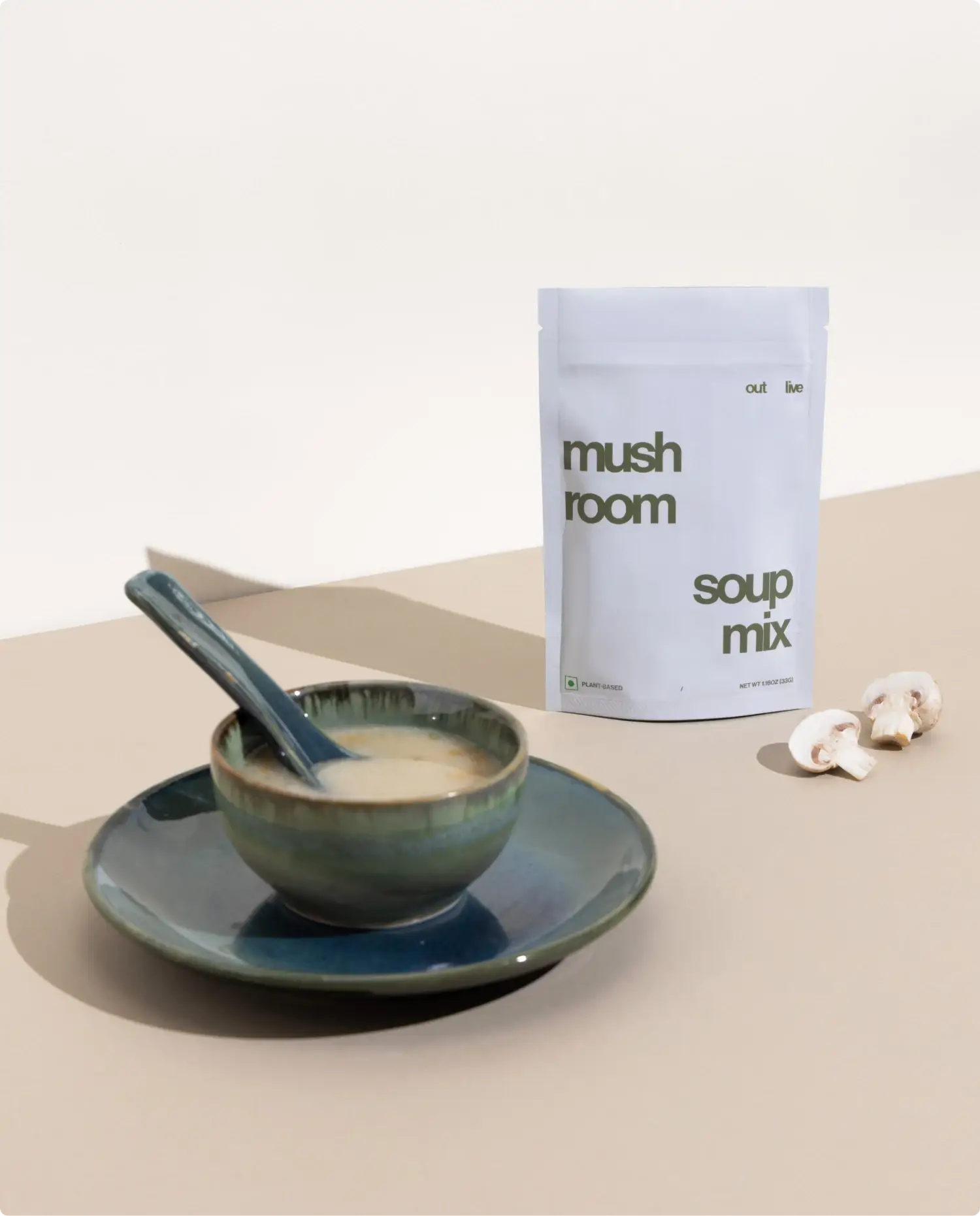 mushroom soup mix