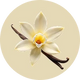 Vanilla