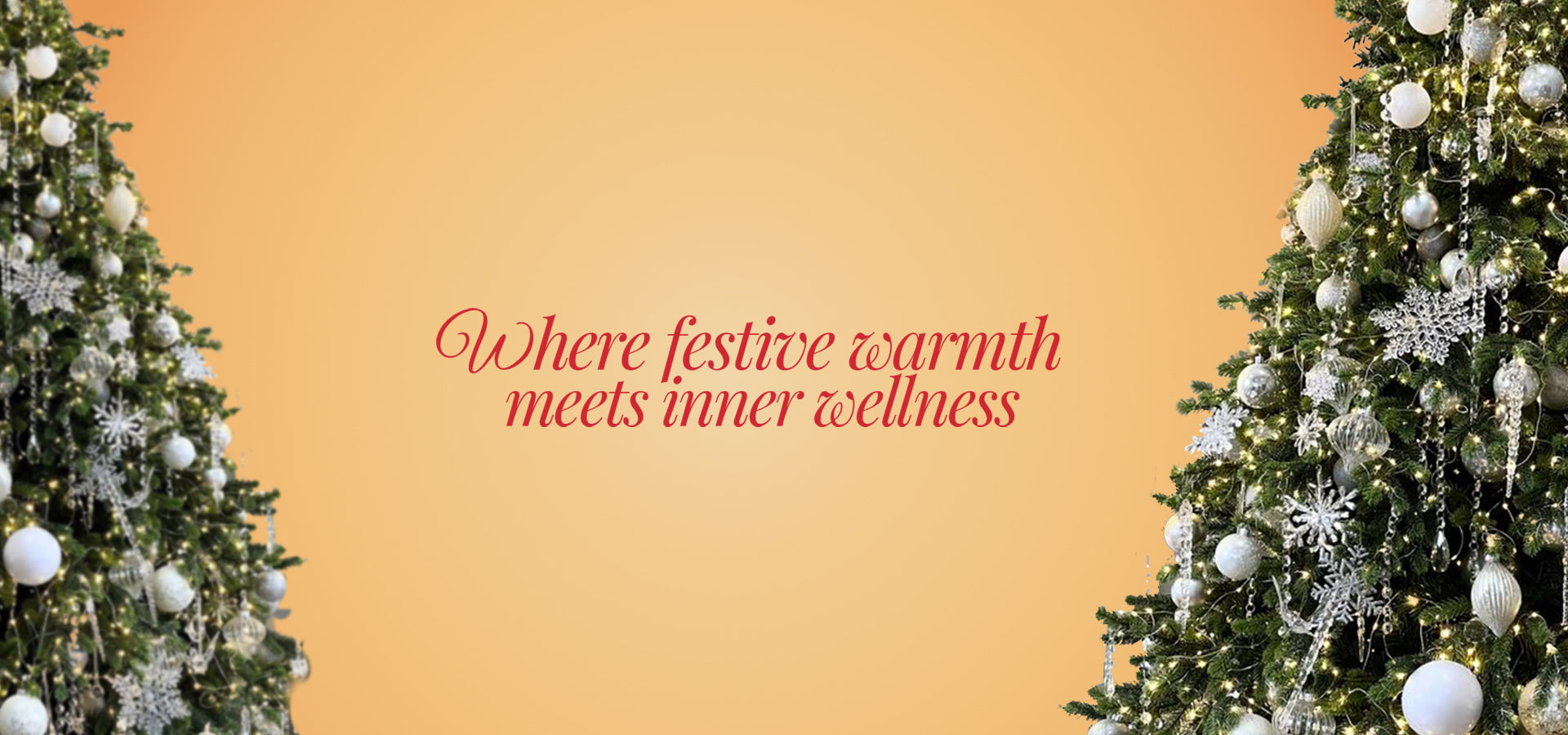 slider image slider_item_c6HqfN