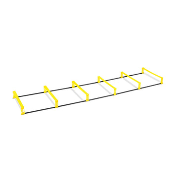 Elevation Ladder