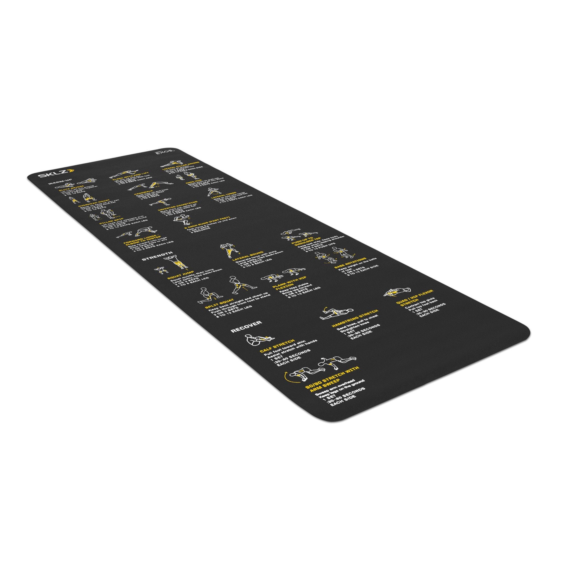 Trainer Mat